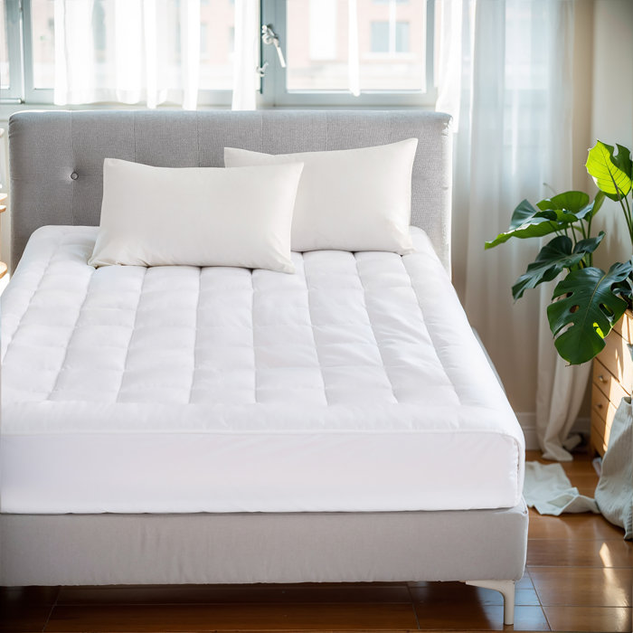 Alwyn Home Cloud Soft Overfilled Plush Waterproof Mattress Pad